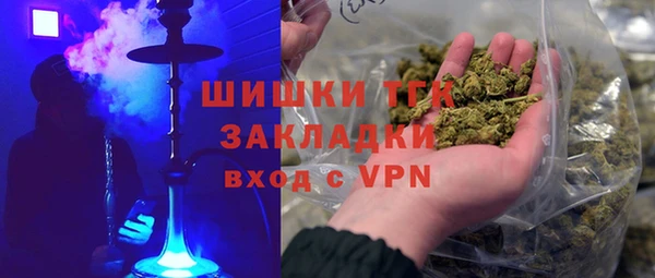 прущие грибы Семикаракорск